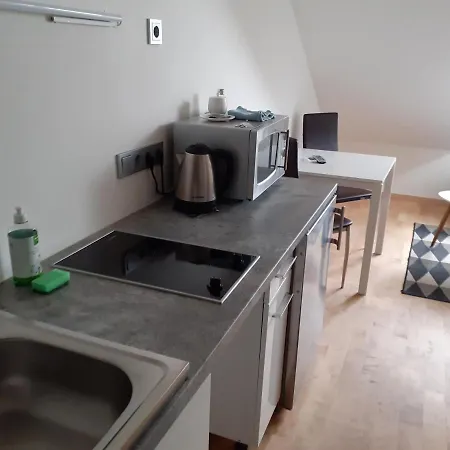 아파트 Attic At Laisves Avenue 카우나스
