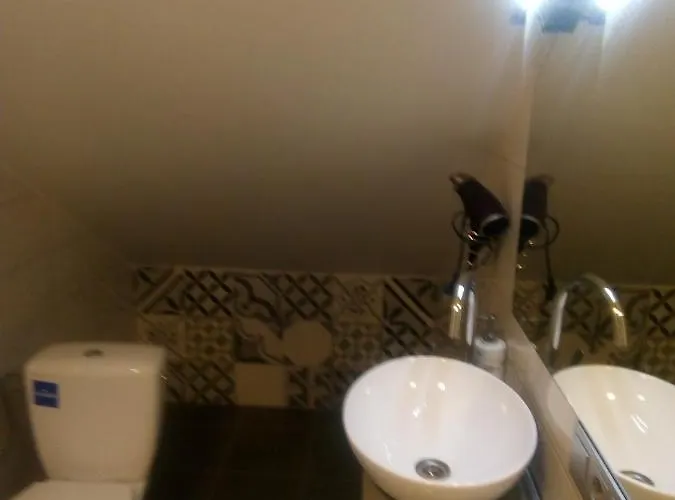 Attic At Laisves Avenue Apartment Kaunas