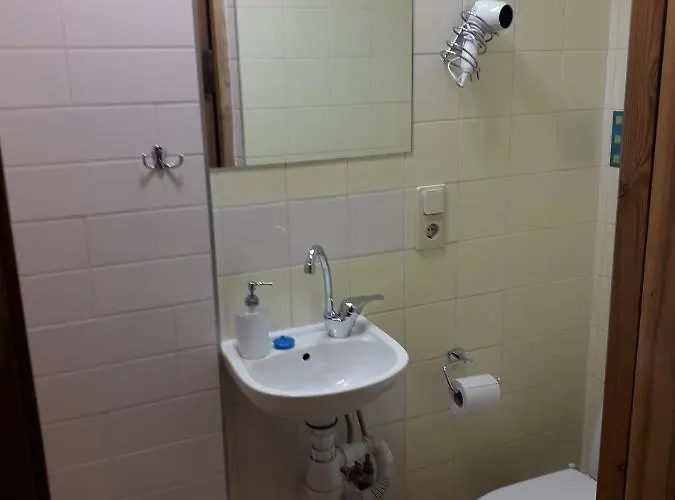 Apartment Attic At Laisves Avenue *